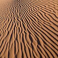 * Nomination Sand ripples --Ikiwaner 19:29, 26 October 2009 (UTC) * Decline Nice composition and light, but DOF to shallow and odd focus point. -- H005 08:30, 27 October 2009 (UTC)