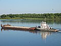 * Nomination Russian old tug-pusher ship type RT on Ob river--Игоревич 14:19, 16 October 2009 (UTC) * Decline  Oppose Nice picture, but resolution is too low for QI and crop is rather tight. Do you have a larger version? --NormanB 20:33, 16 October 2009 (UTC)*  Comment Unfortunately I have not larger version. This image has been took by my old camera Canon PowerShot A60 (2Mp)--Игоревич 11:25, 17 October 2009 (UTC)