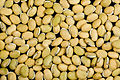 * Nomination Val Beans (Dolichos lablab). --Sanjay Acharya 00:20, 14 October 2009 (UTC) * Promotion Nice work. --99of9 02:06, 14 October 2009 (UTC)