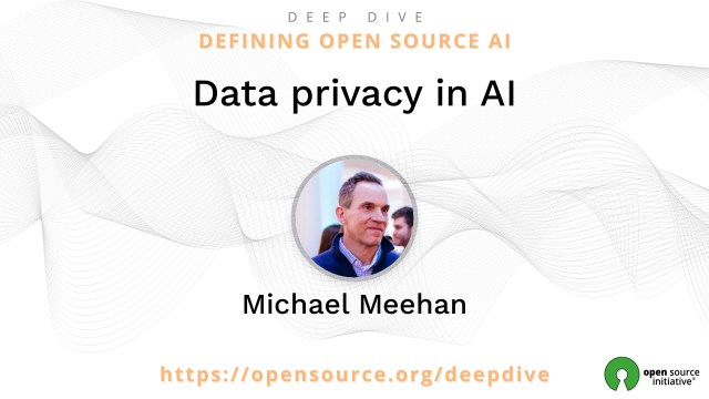 Data privacy in AI