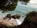 * Nomination Small cobble beach in Brela, Croatia --Jos. 13:10, 26 September 2009 (UTC) * Decline Strong posterization on the water surface, PNG format is not suitable for photos, try JPG instead. -- H005 09:40, 5 October 2009 (UTC)